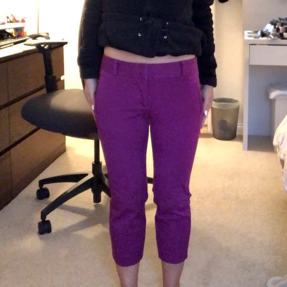 Ann Taylor LOFT Magenta/Purple Capri Work Pants - Picture 5 of 5